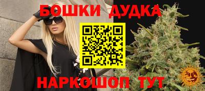 индика Краснокаменск