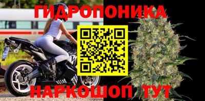 спиды Коммунар