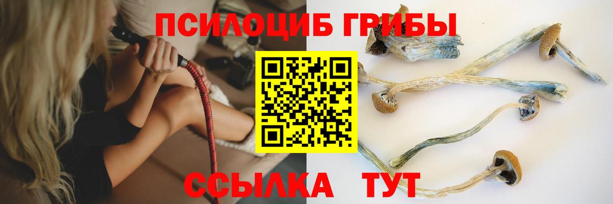 Псилоцибиновые грибы MAGIC MUSHROOMS Каменск-Уральский